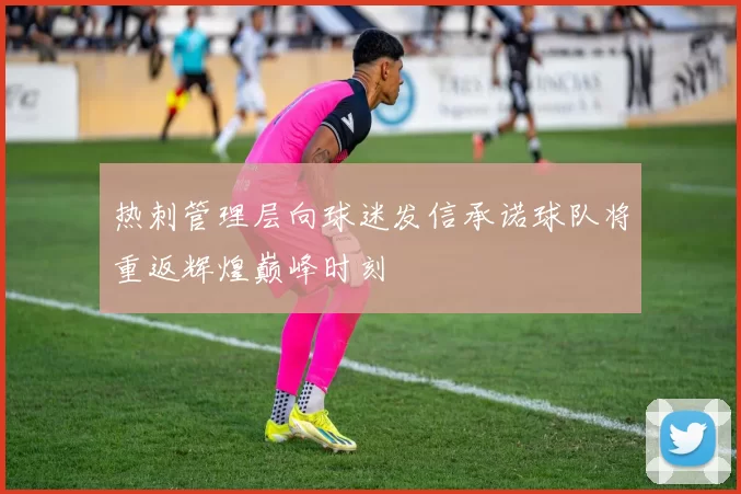 热刺管理层向球迷发信承诺球队将重返辉煌巅峰时刻